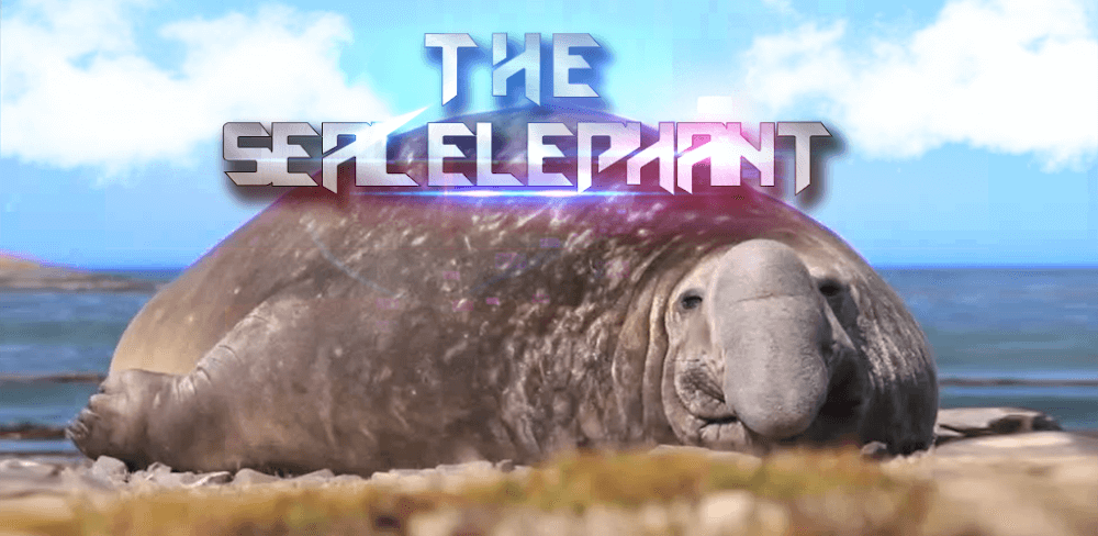 the seal elephant 1